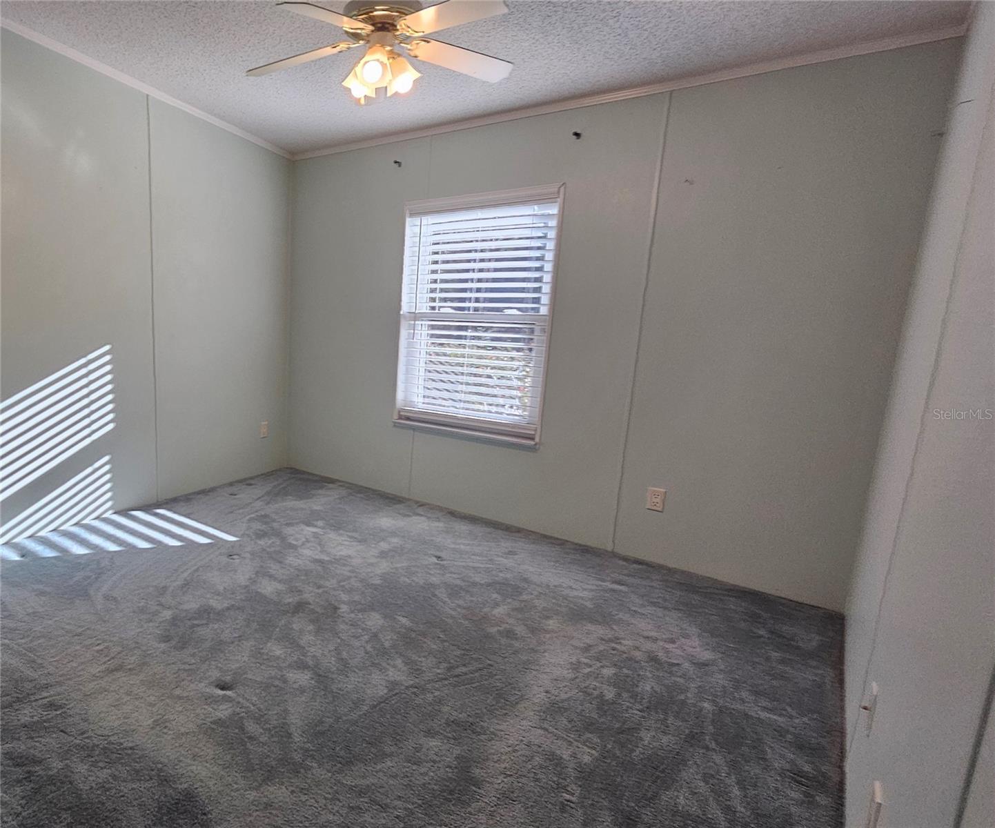 8031 NW 171ST PL, FANNING SPRINGS, FL, 32693