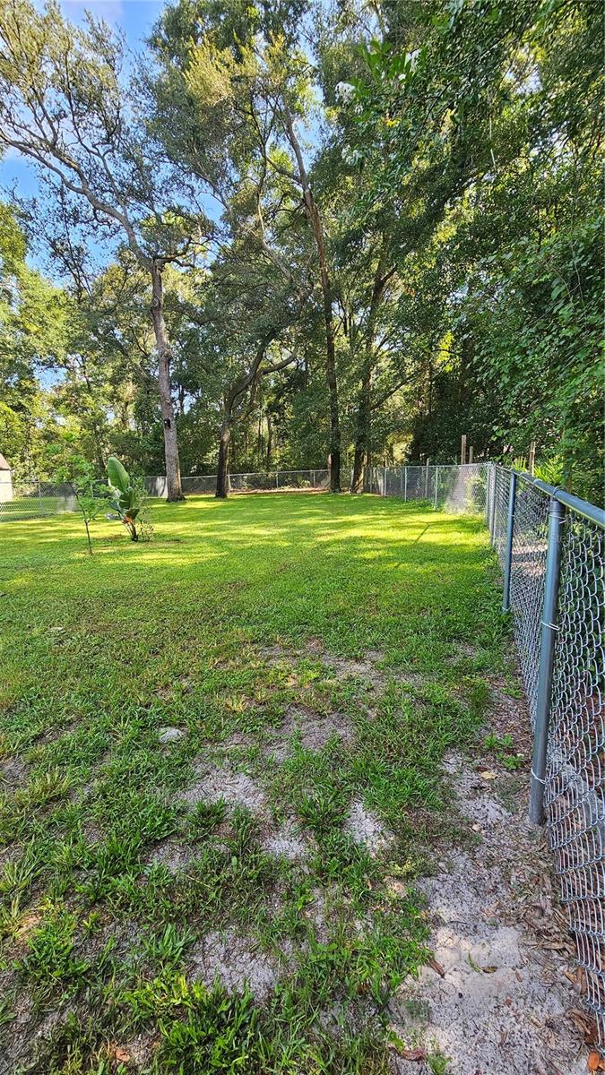8031 NW 171ST PL, FANNING SPRINGS, FL, 32693