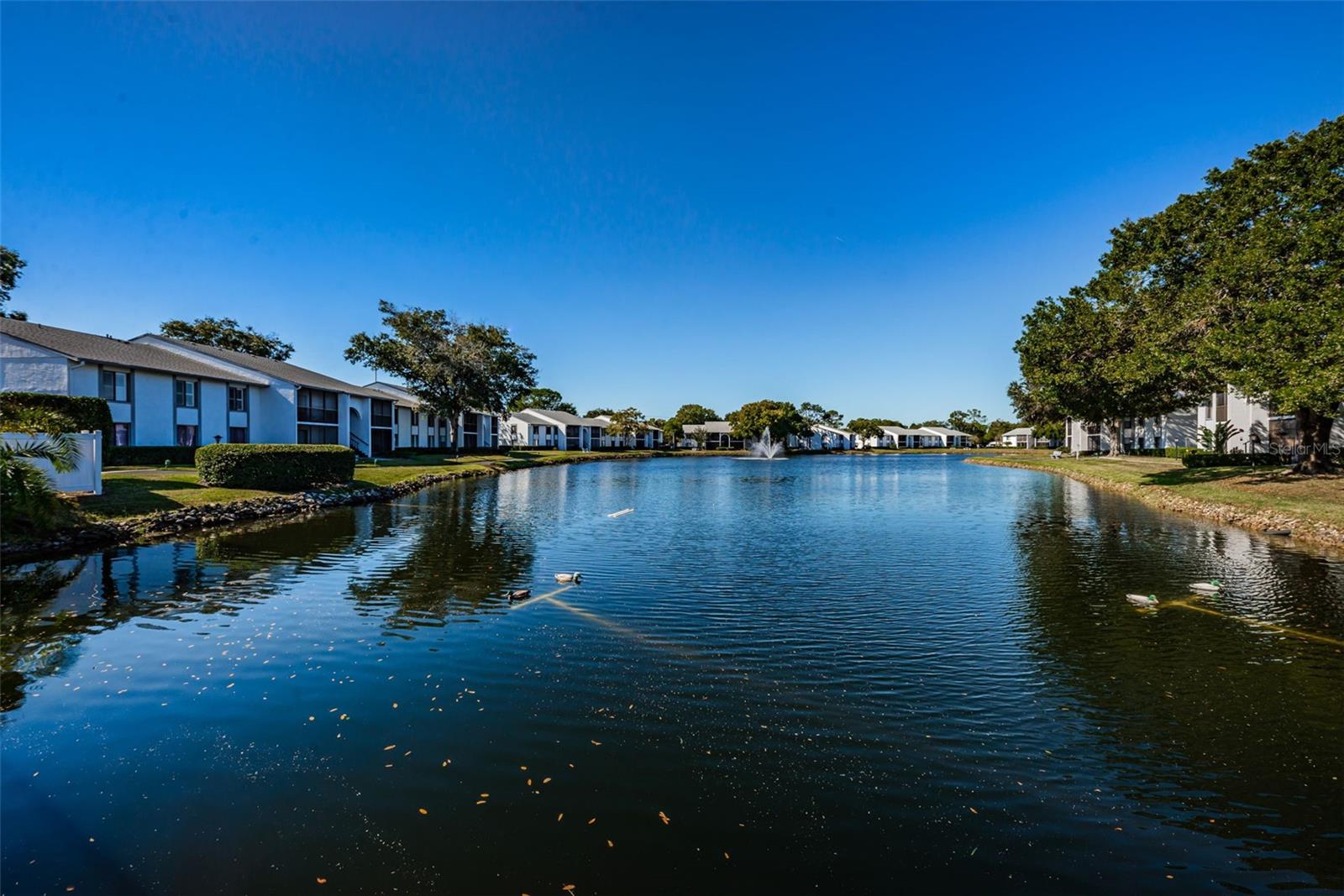 1170 PINE RIDGE CIR W #C2, TARPON SPRINGS, FL, 34688