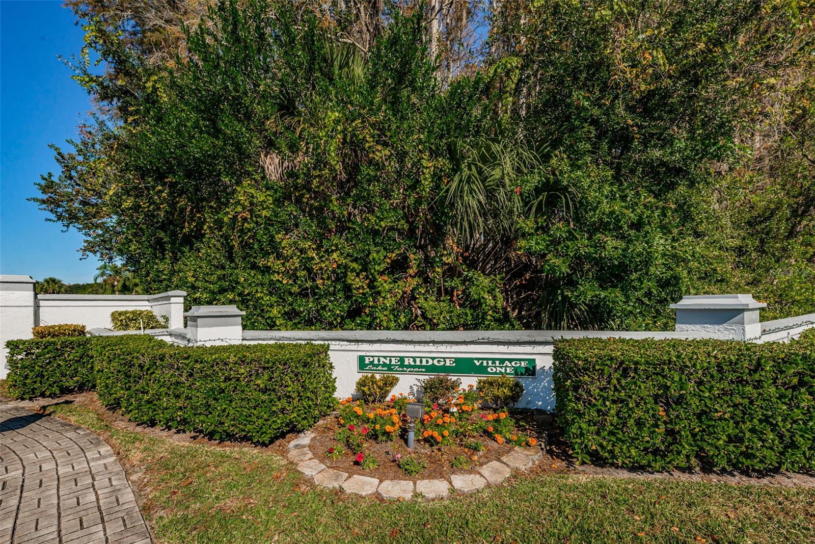 1170 PINE RIDGE CIR W #C2, TARPON SPRINGS, FL, 34688