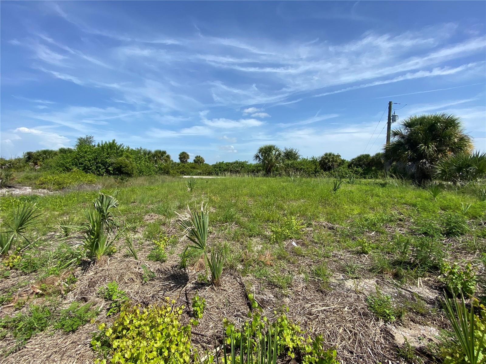 13517 GREENCASTLE AVE, PORT CHARLOTTE, FL, 33981