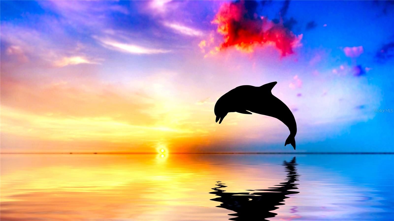 644 BAYSHORE DR, TARPON SPRINGS, FL, 34689