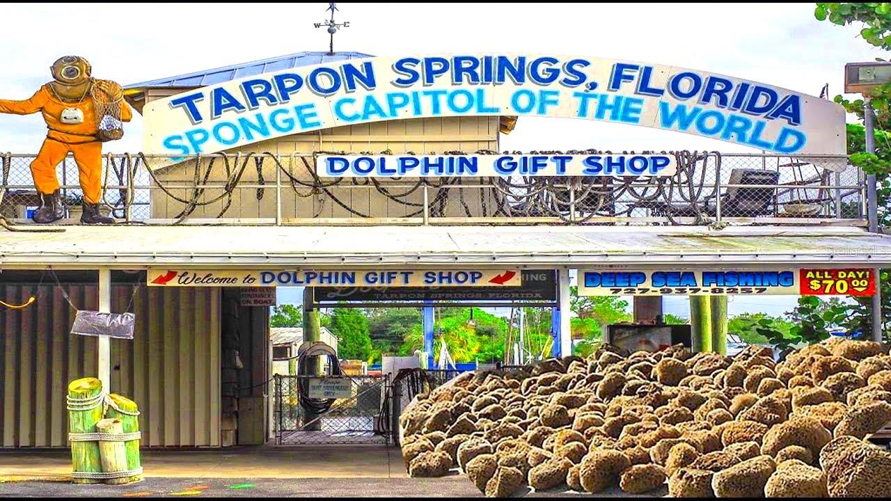 644 BAYSHORE DR, TARPON SPRINGS, FL, 34689