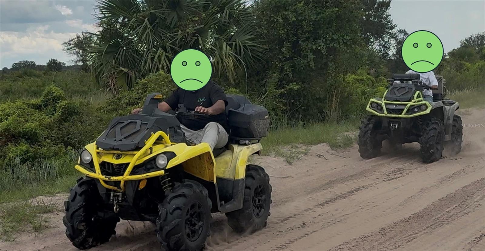 20219 NW 248TH ST, OKEECHOBEE, FL, 34972