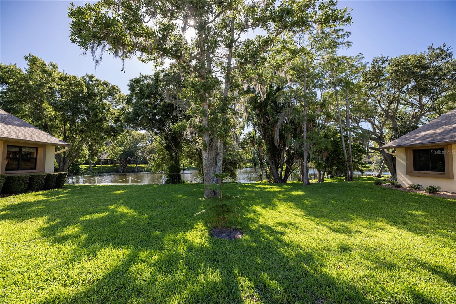 2585 BAY BERRY DR #43D, CLEARWATER, FL, 33763