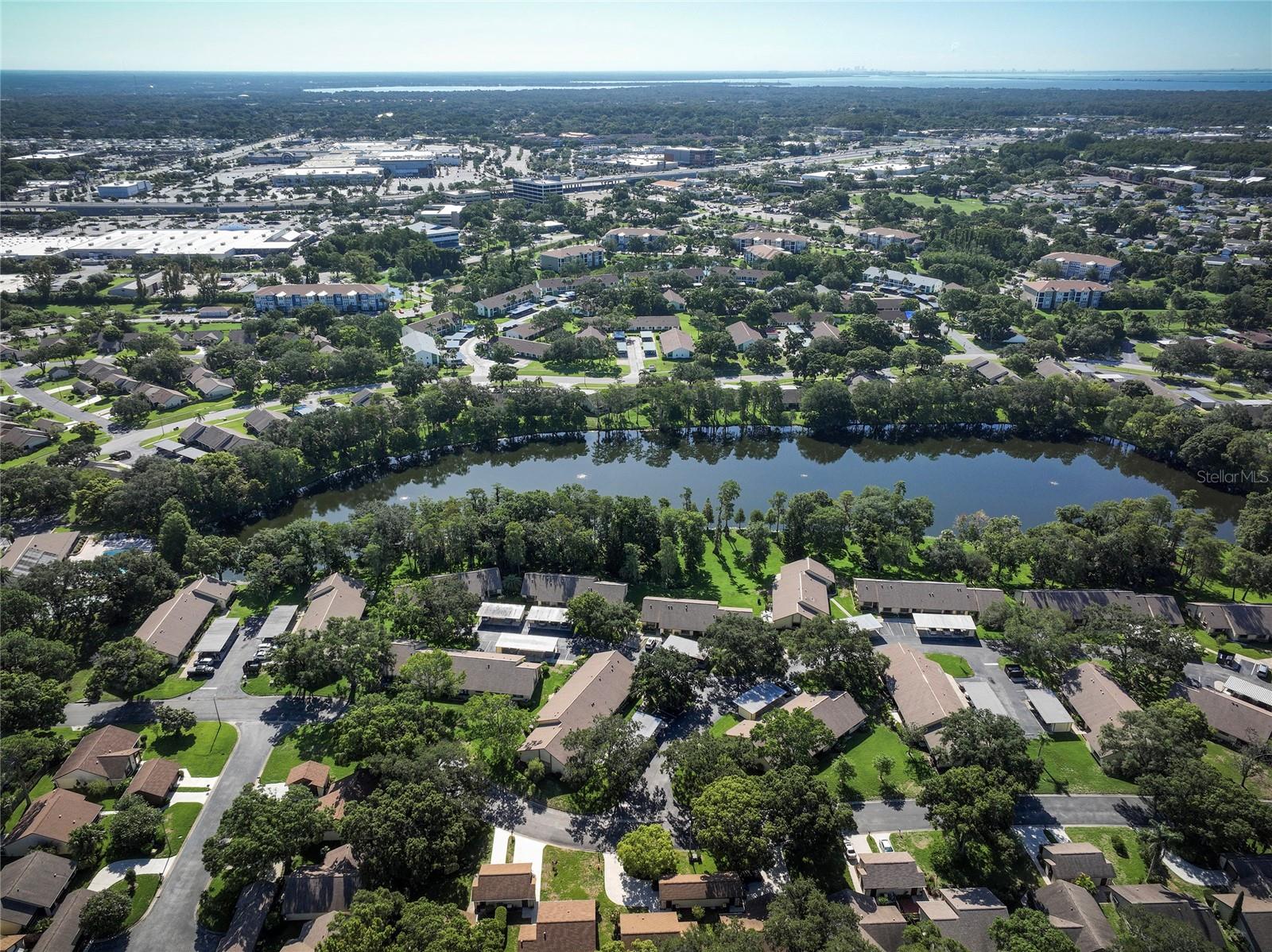 2585 BAY BERRY DR #43D, CLEARWATER, FL, 33763