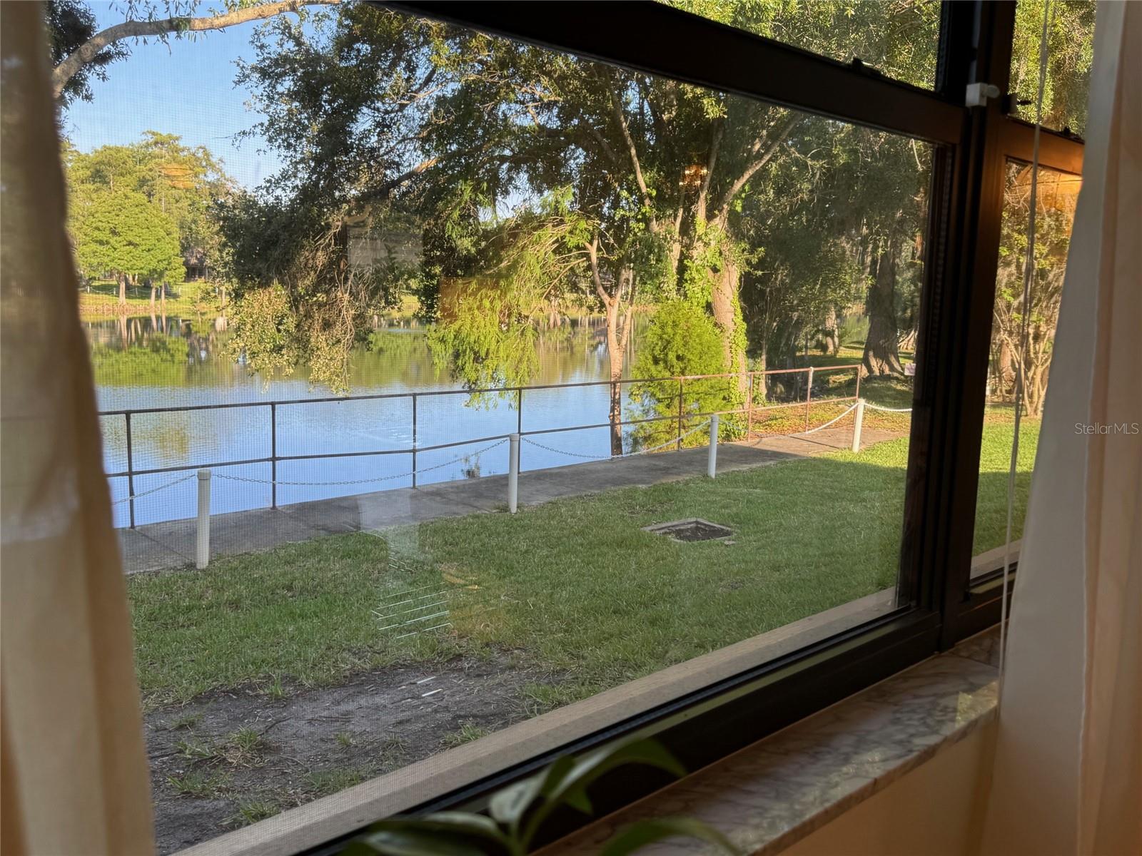 2585 BAY BERRY DR #43D, CLEARWATER, FL, 33763