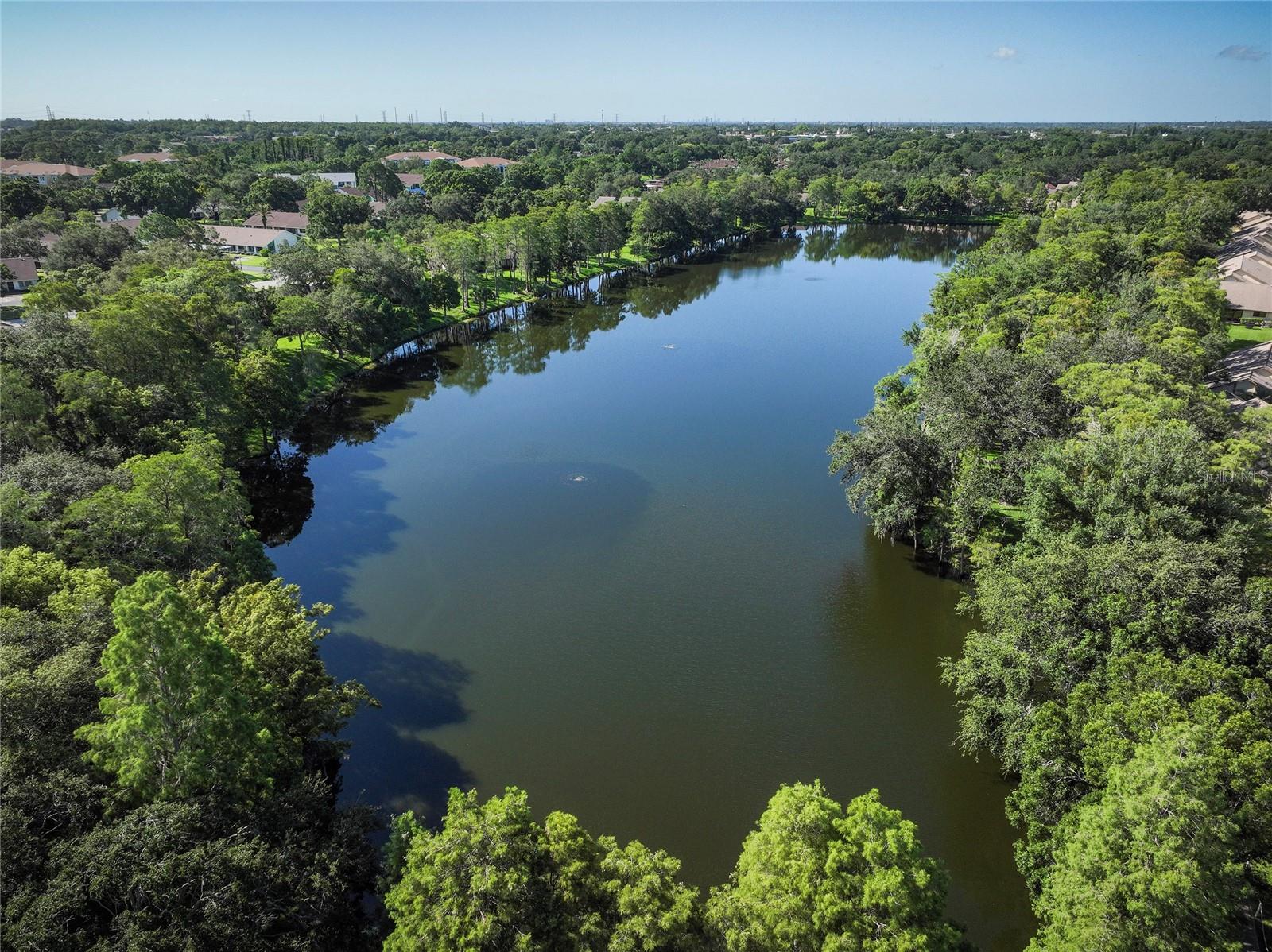 2585 BAY BERRY DR #43D, CLEARWATER, FL, 33763