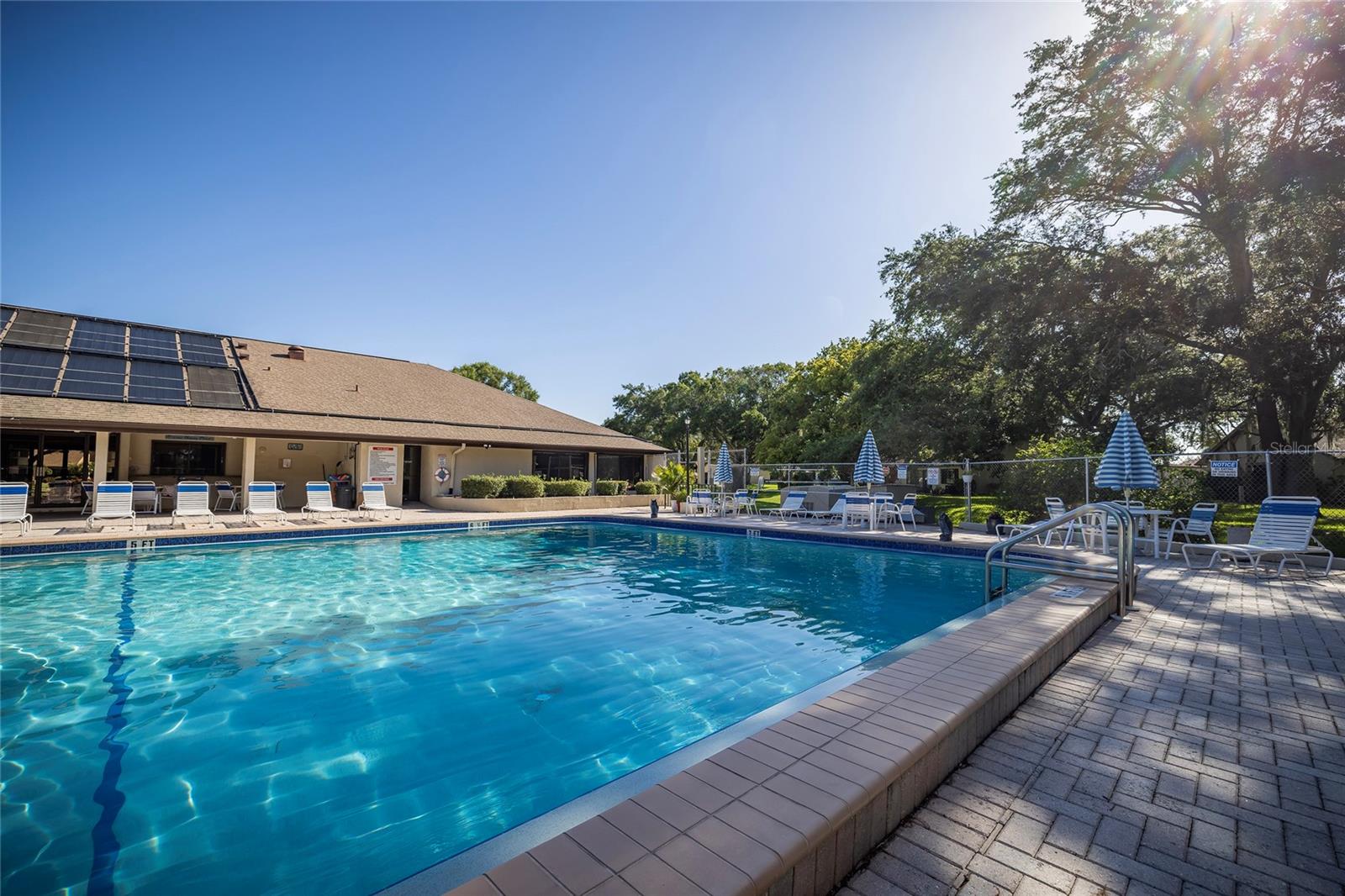 2585 BAY BERRY DR #43D, CLEARWATER, FL, 33763