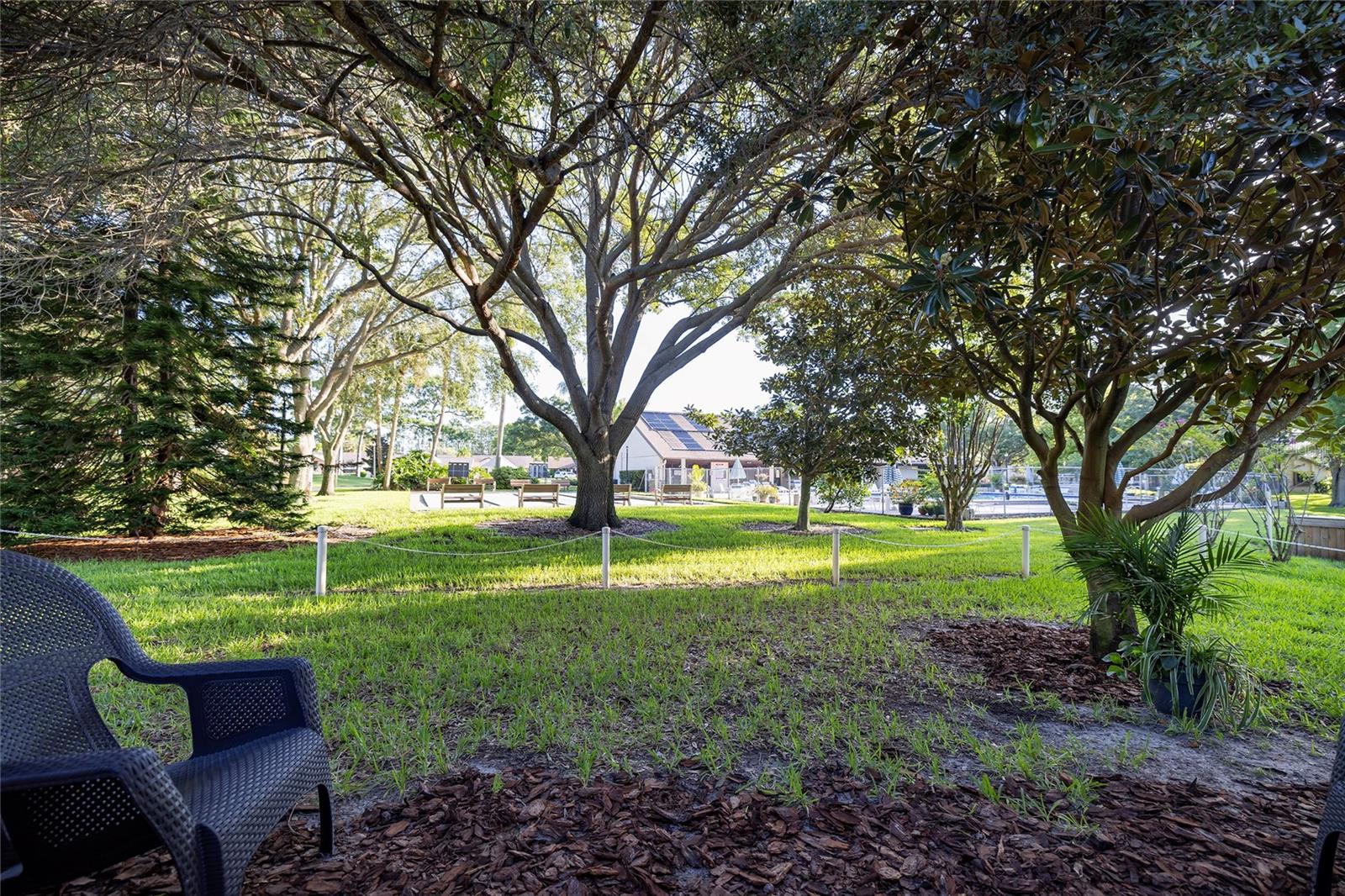 2585 BAY BERRY DR #43D, CLEARWATER, FL, 33763