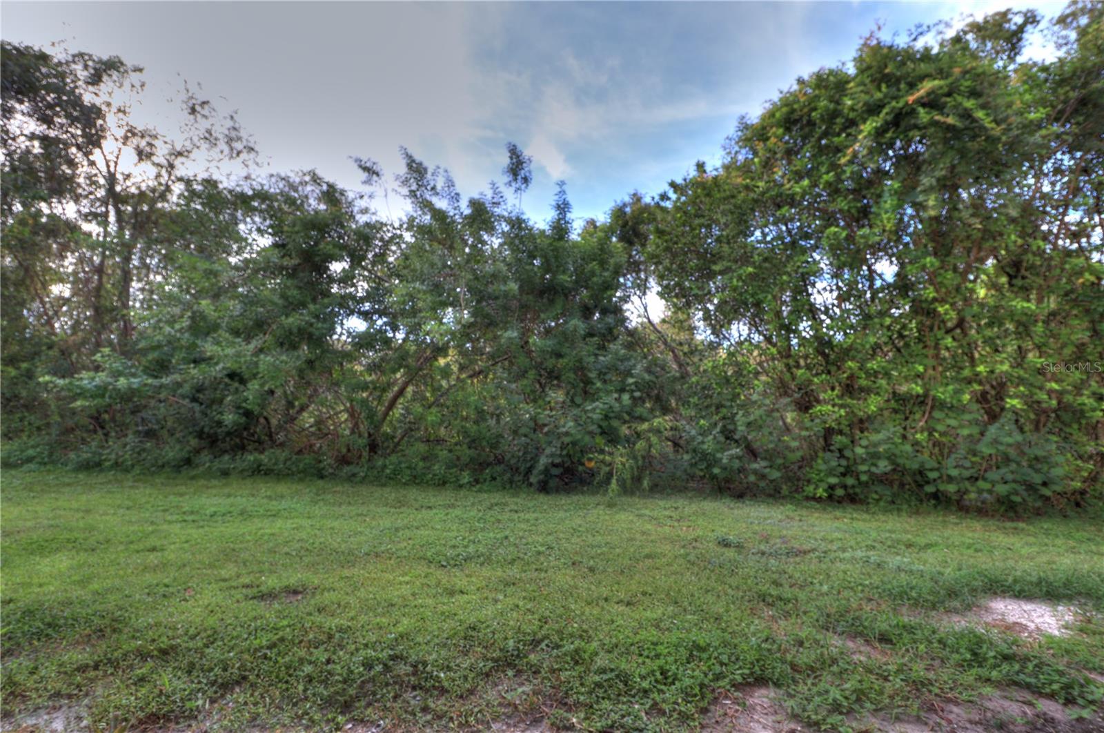 6121 OLIVEDALE DR, RIVERVIEW, FL, 33578