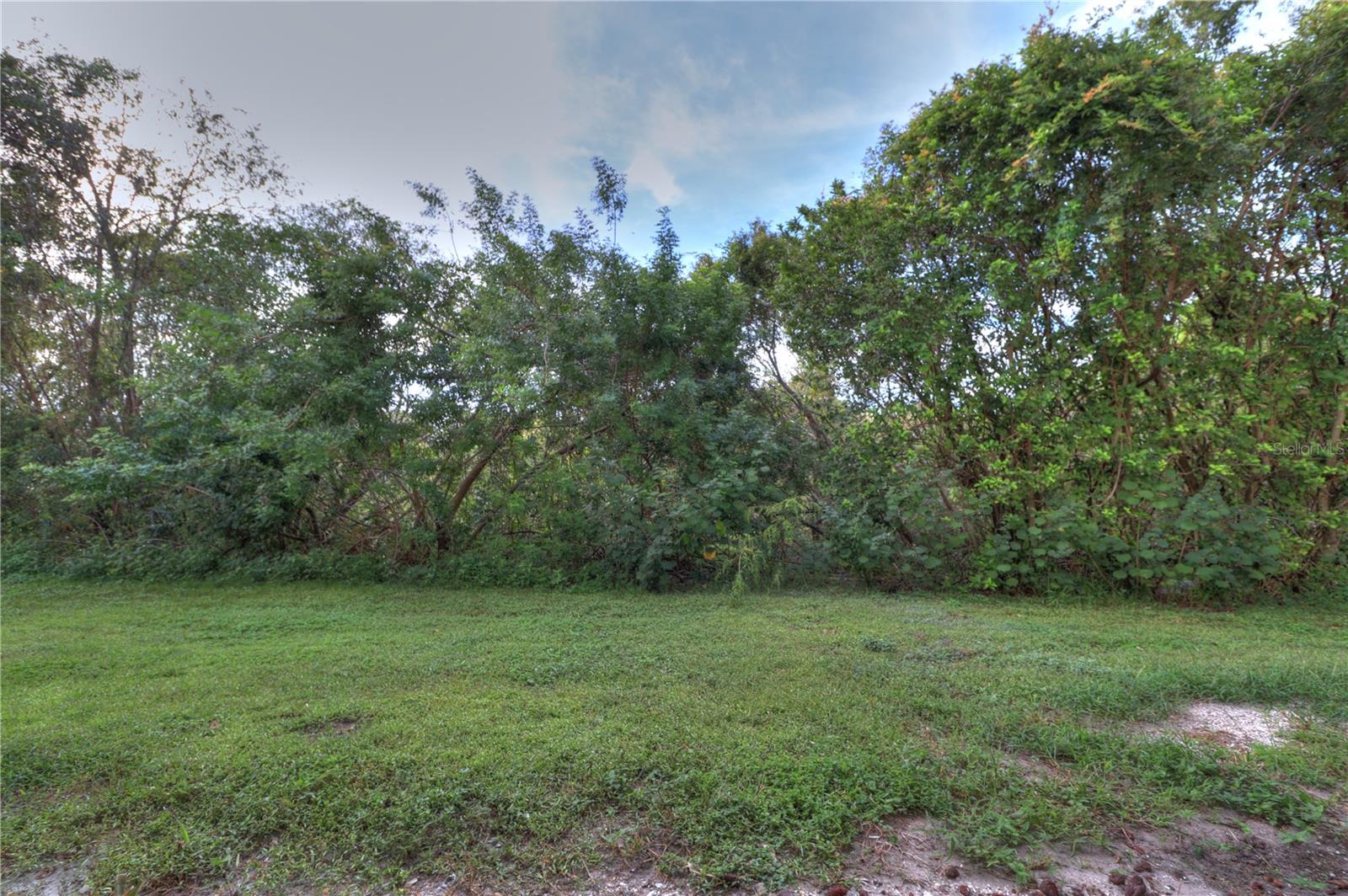 6121 OLIVEDALE DR, RIVERVIEW, FL, 33578