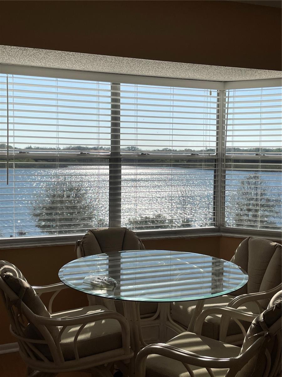 2221 NORWEGIAN DR #61, CLEARWATER, FL, 33763