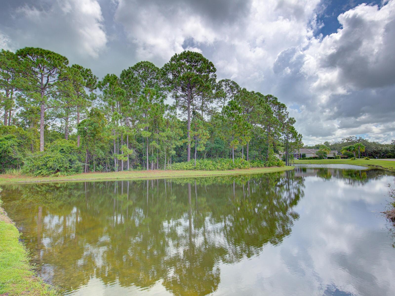 10518 MIRACLE LN, NEW PORT RICHEY, FL, 34654