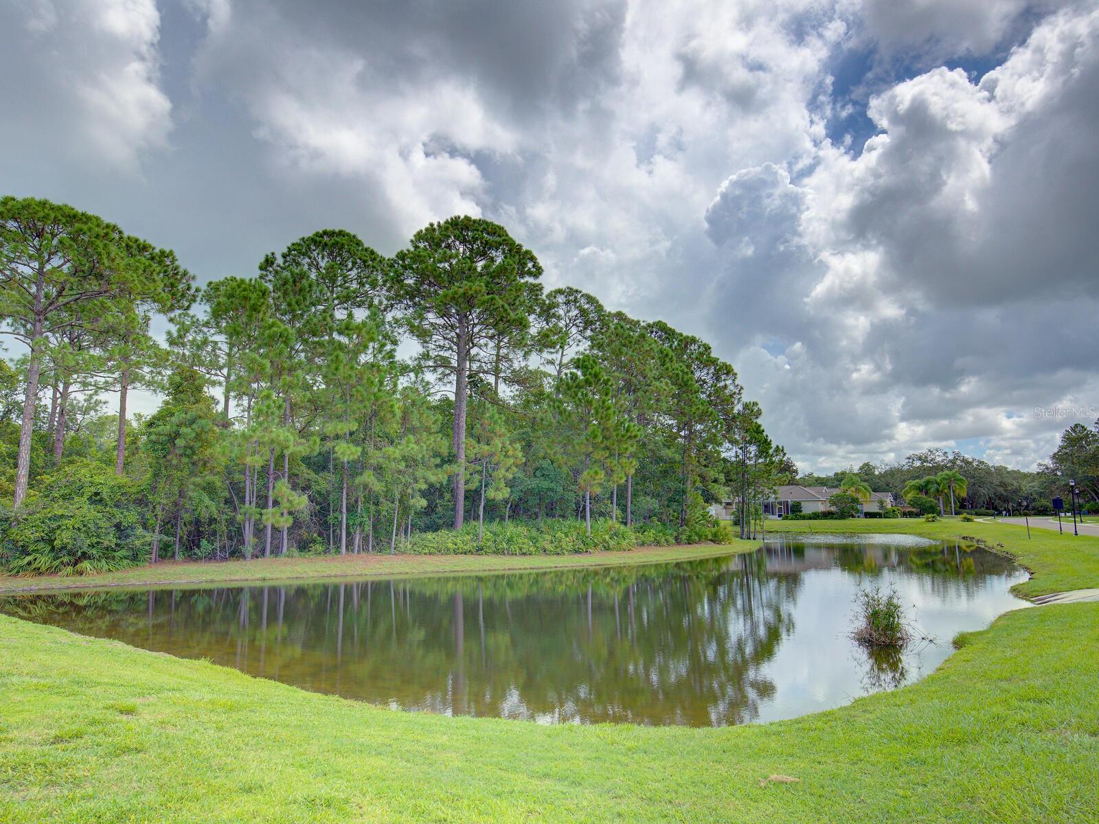 10518 MIRACLE LN, NEW PORT RICHEY, FL, 34654
