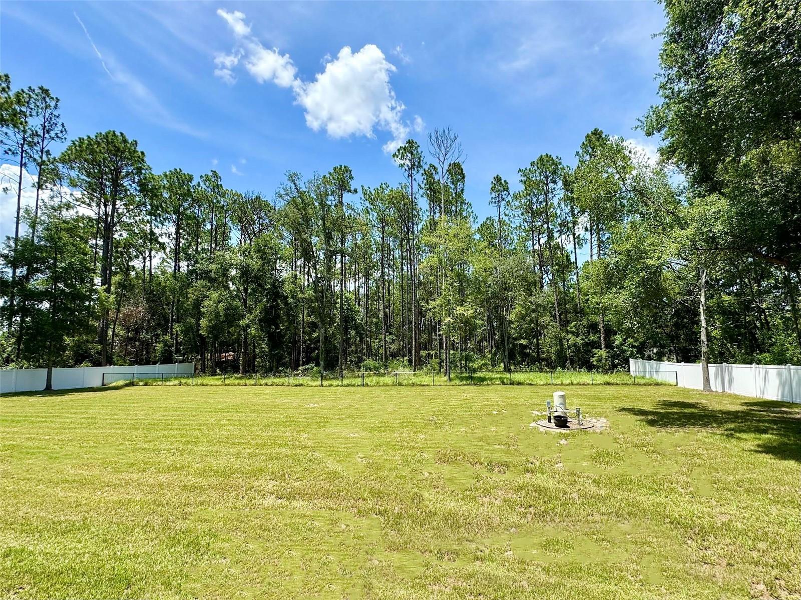 18517 SW 27TH ST, DUNNELLON, FL, 34432