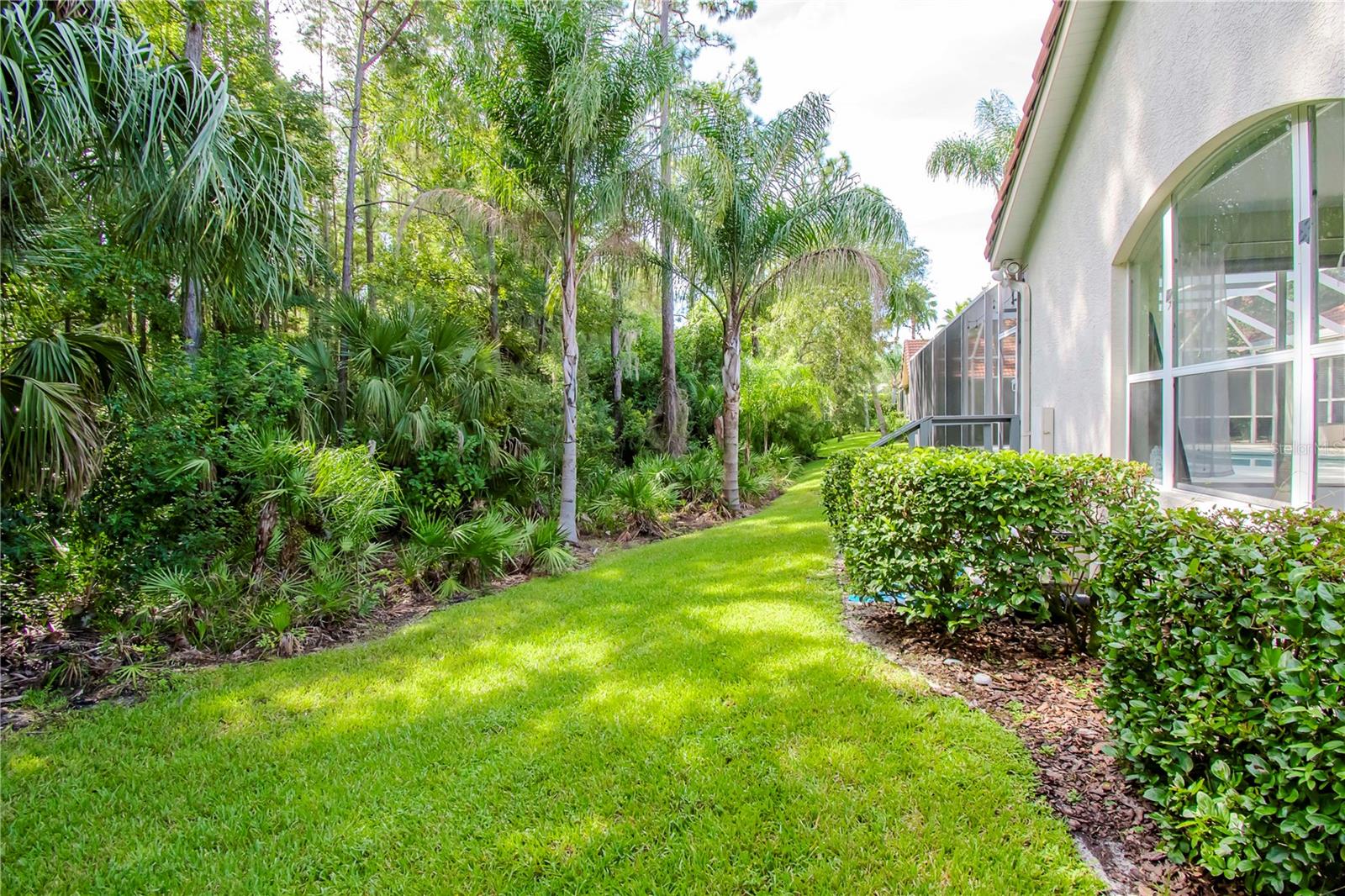 17812 ARBOR GREENE DR, TAMPA, FL, 33647