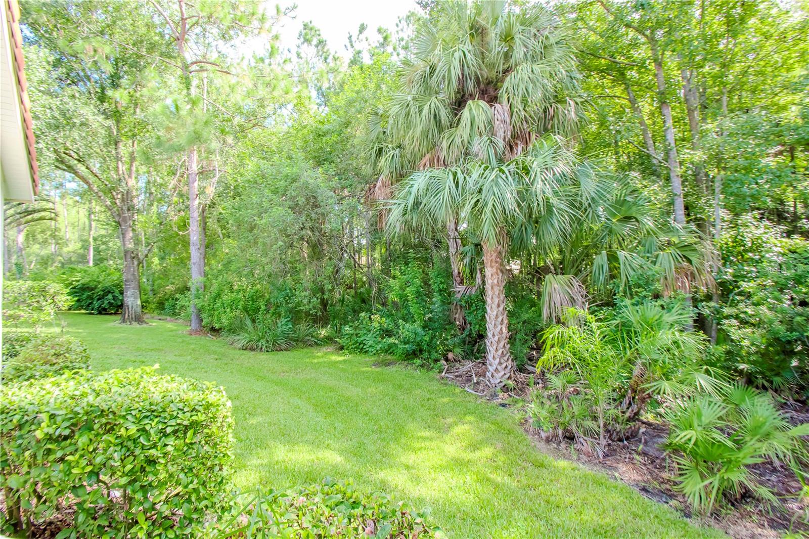 17812 ARBOR GREENE DR, TAMPA, FL, 33647