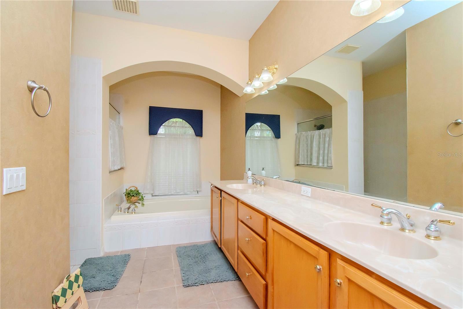 17812 ARBOR GREENE DR, TAMPA, FL, 33647