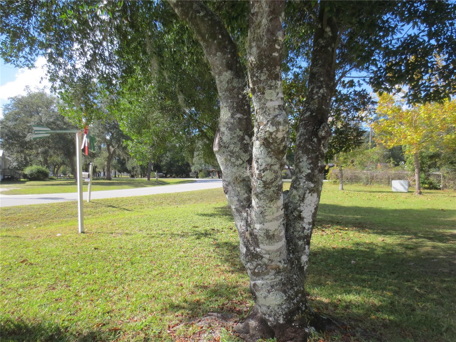 18675 SE 55TH PL, OCKLAWAHA, FL, 32179