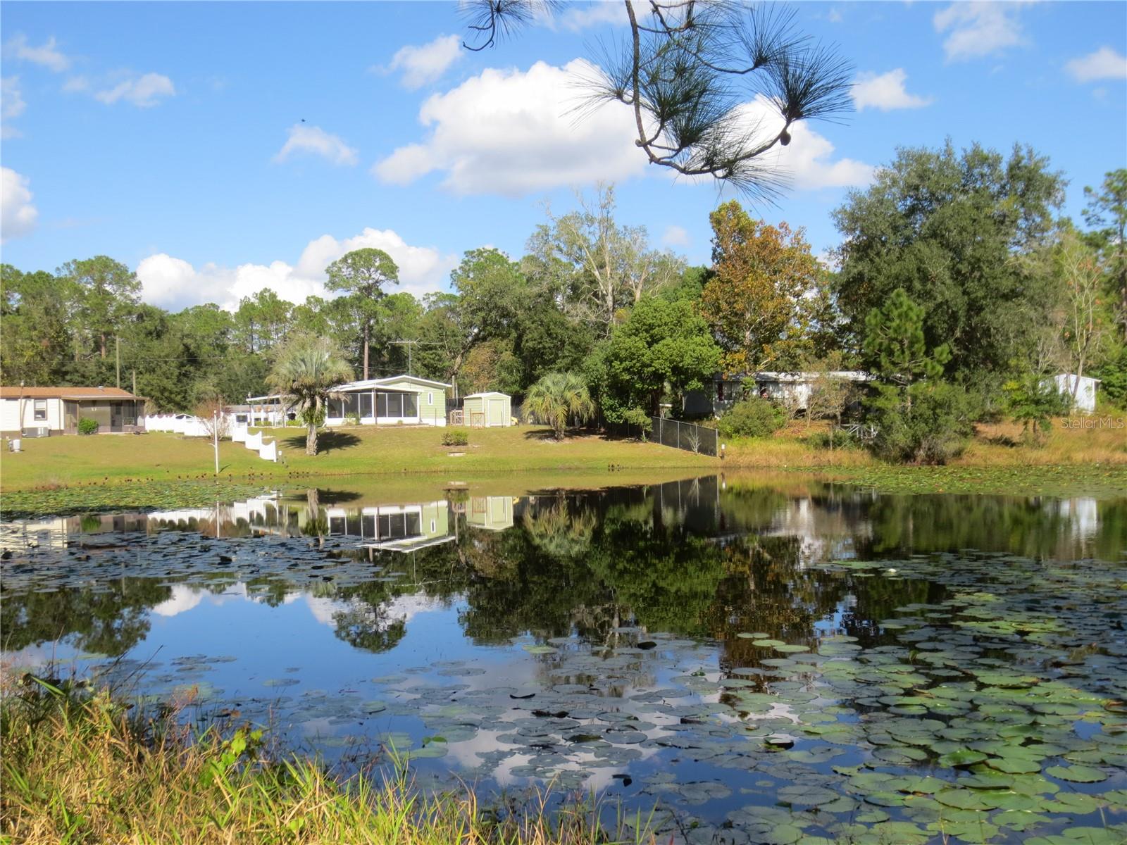 18675 SE 55TH PL, OCKLAWAHA, FL, 32179