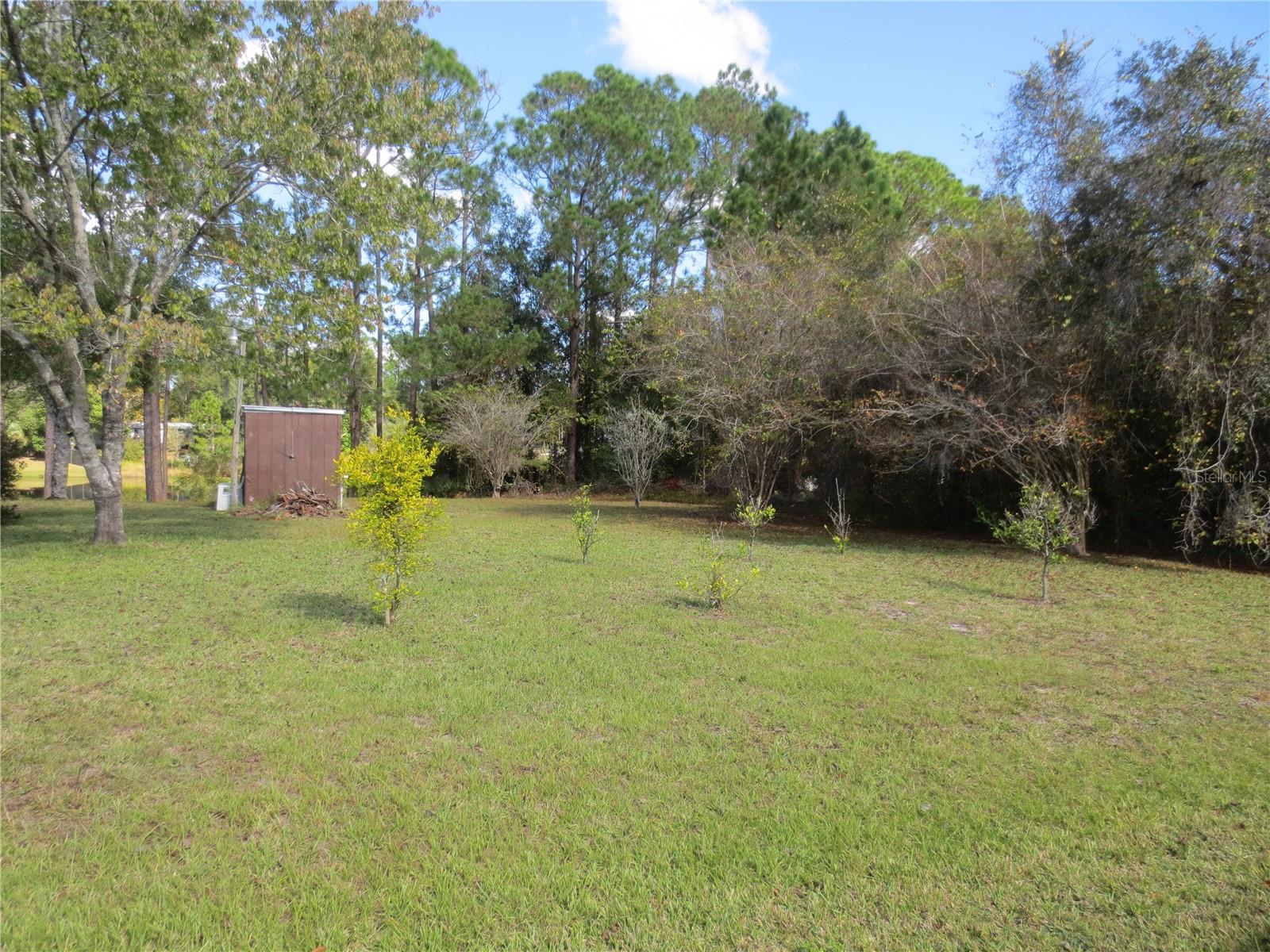 18675 SE 55TH PL, OCKLAWAHA, FL, 32179