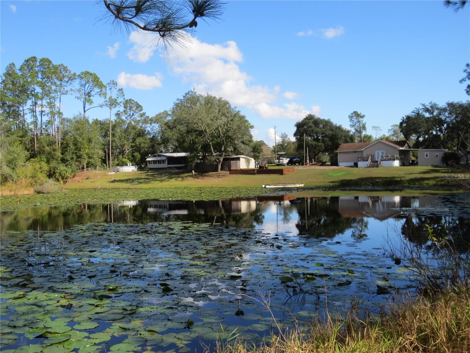 18675 SE 55TH PL, OCKLAWAHA, FL, 32179