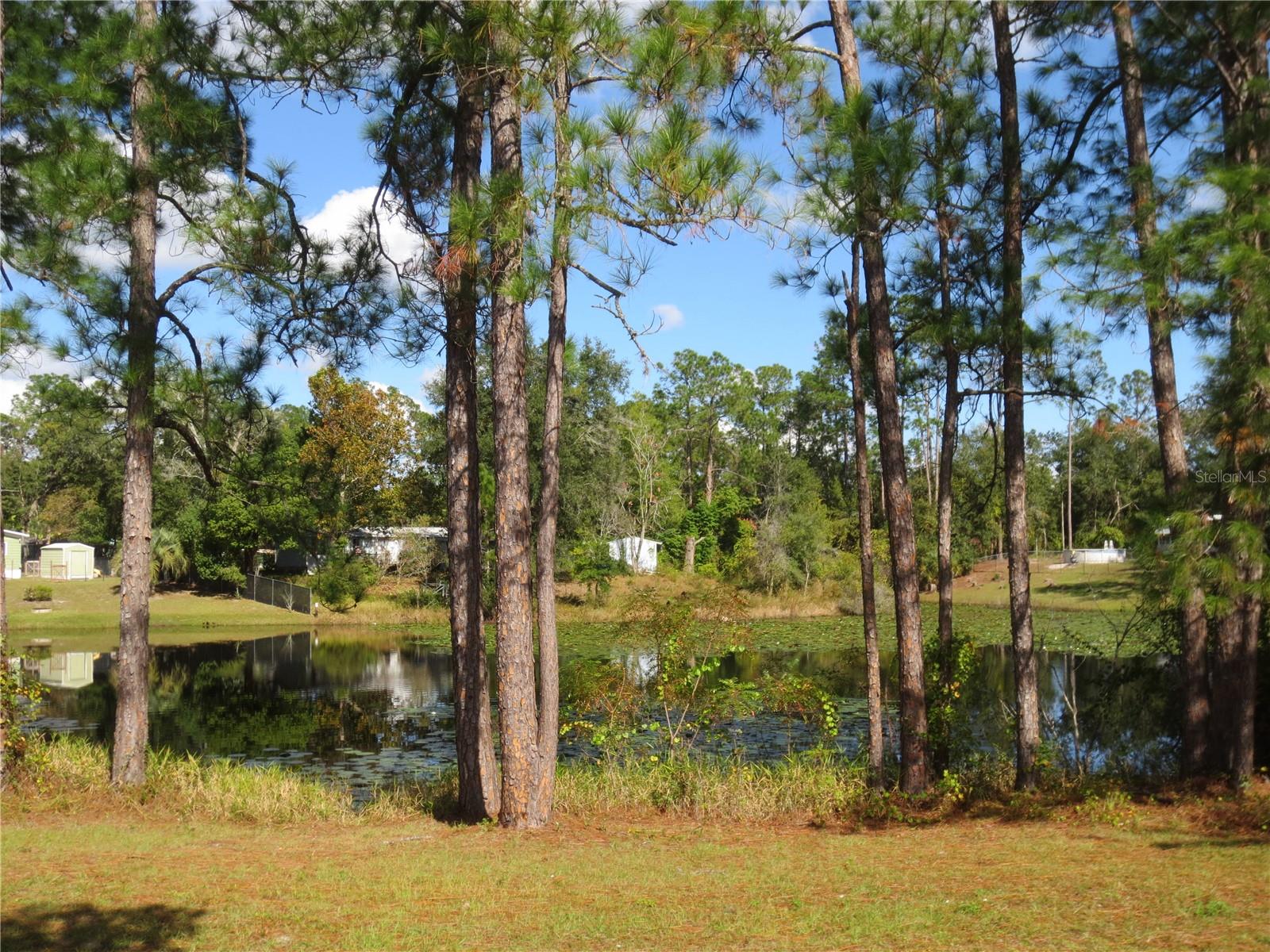 18675 SE 55TH PL, OCKLAWAHA, FL, 32179