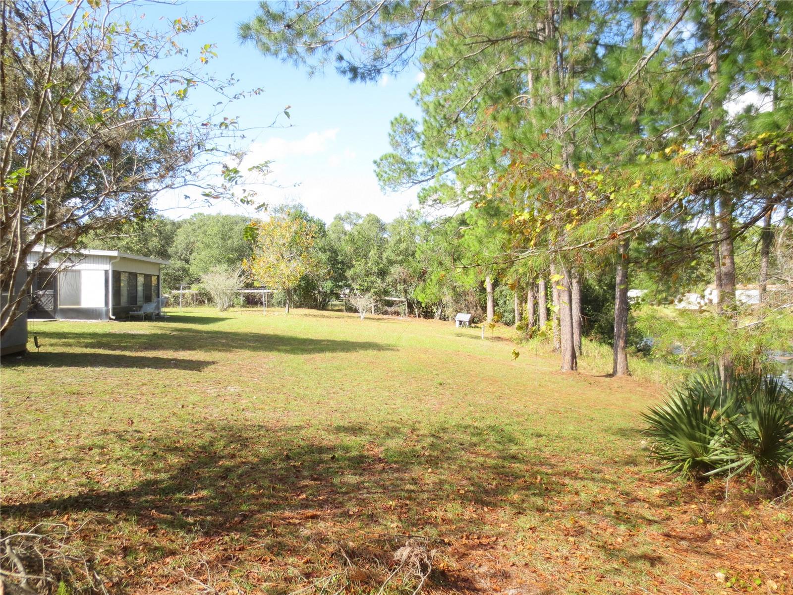18675 SE 55TH PL, OCKLAWAHA, FL, 32179