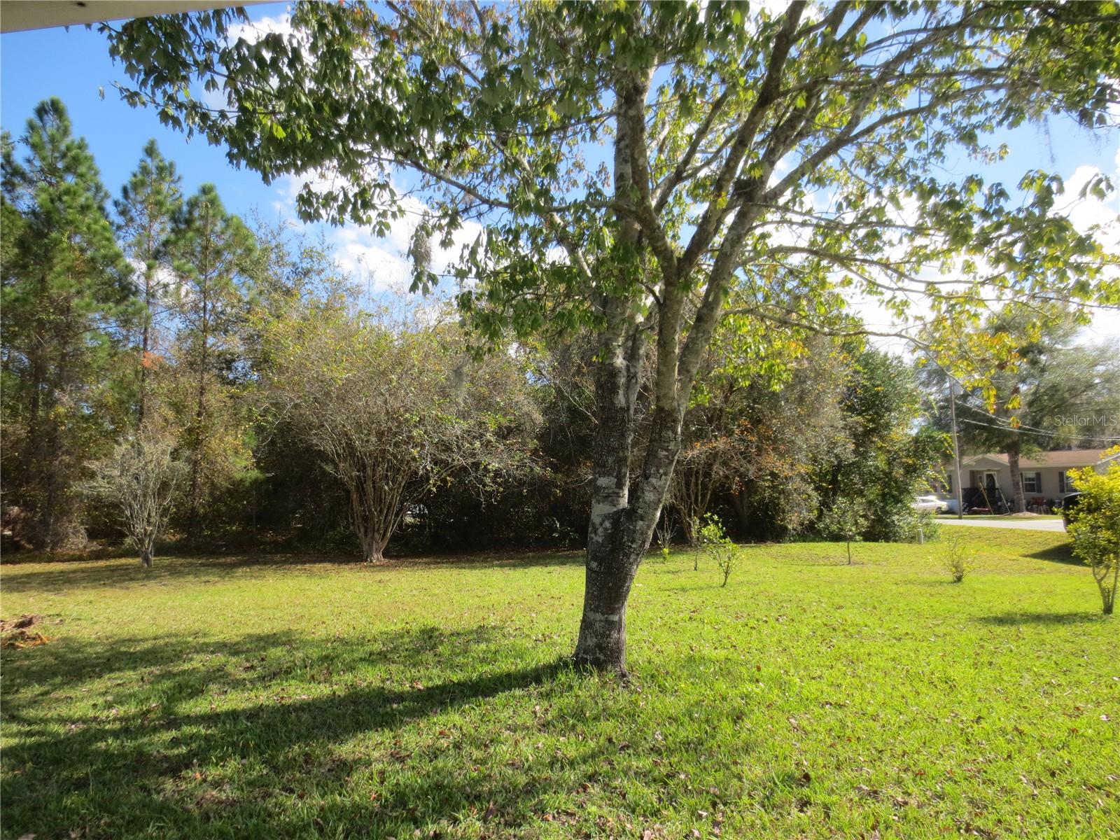 18675 SE 55TH PL, OCKLAWAHA, FL, 32179