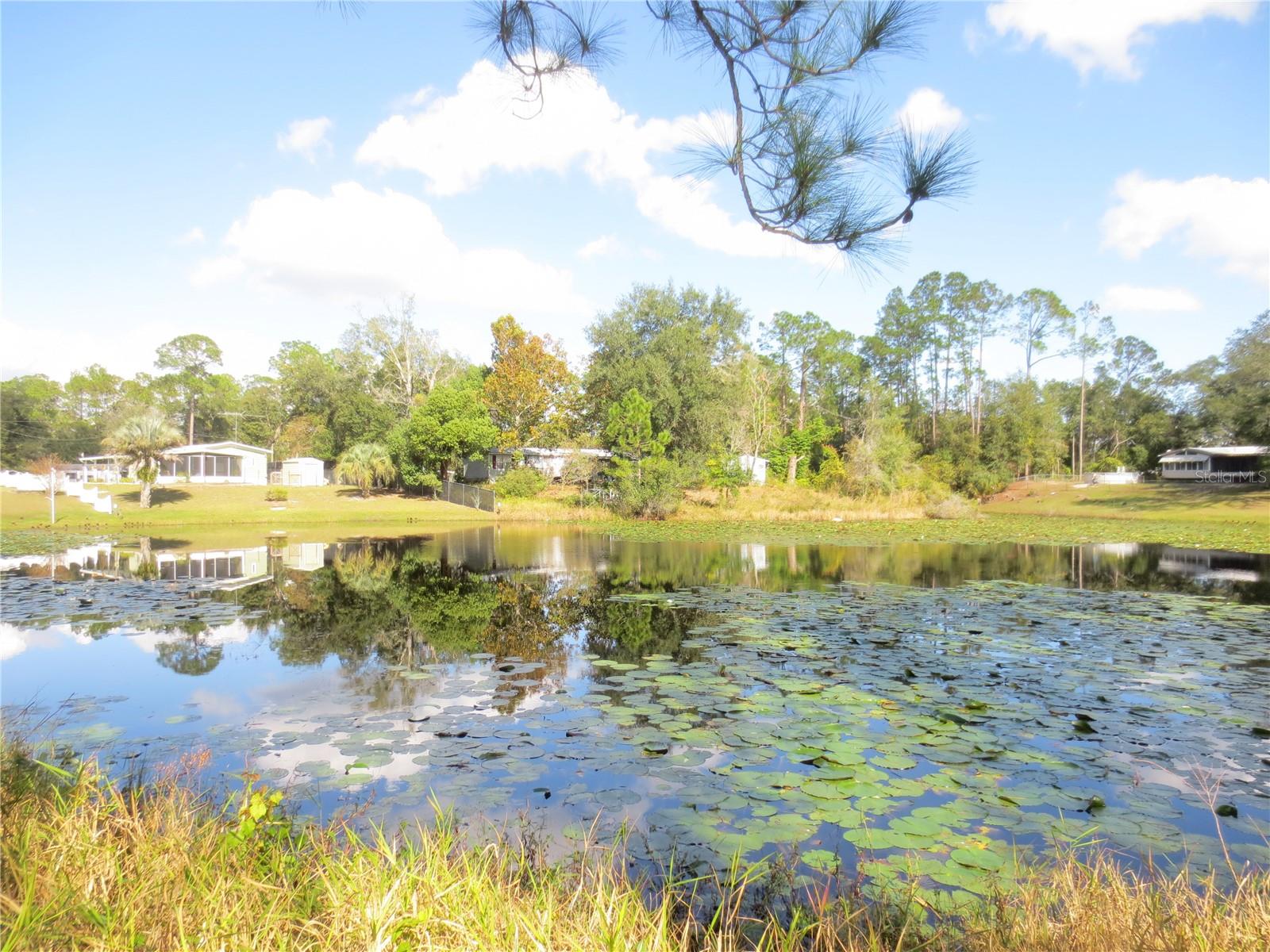 18675 SE 55TH PL, OCKLAWAHA, FL, 32179