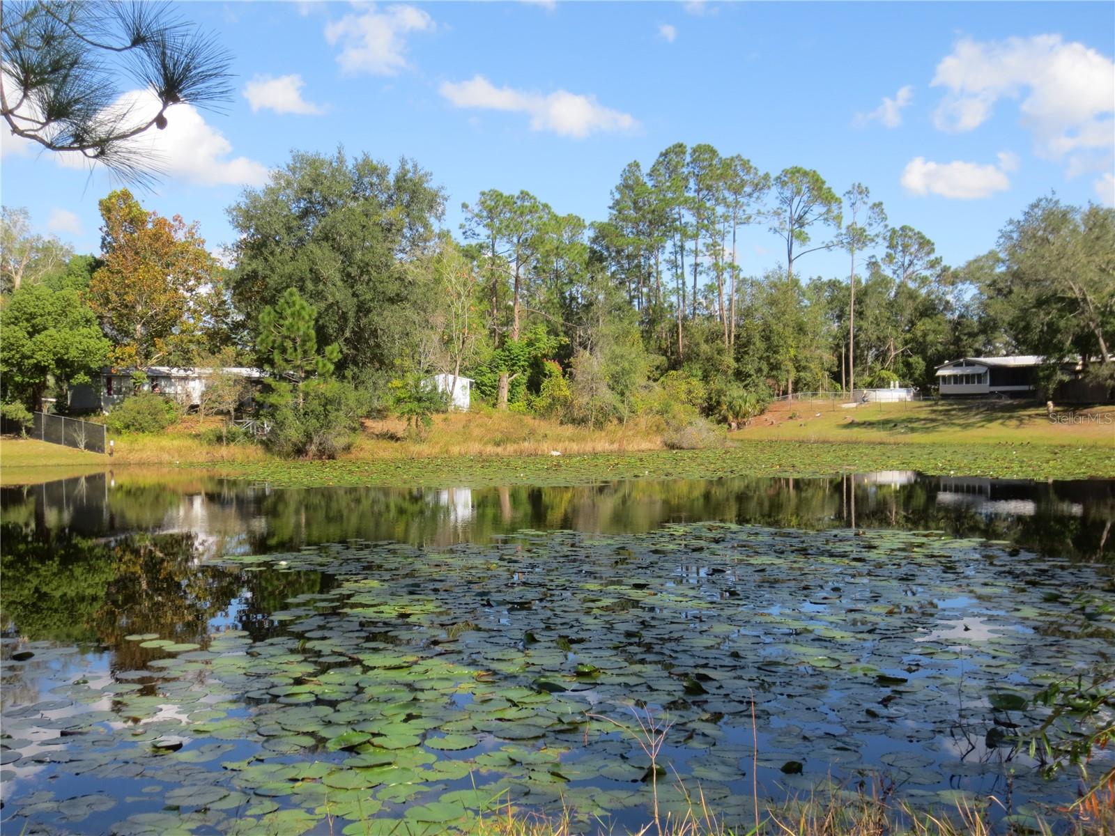 18675 SE 55TH PL, OCKLAWAHA, FL, 32179