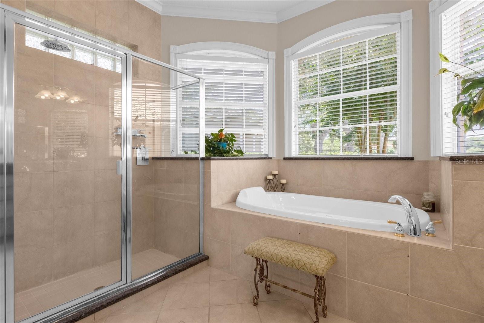 277 OLIVIA ROSE CT, LAKE MARY, FL, 32746
