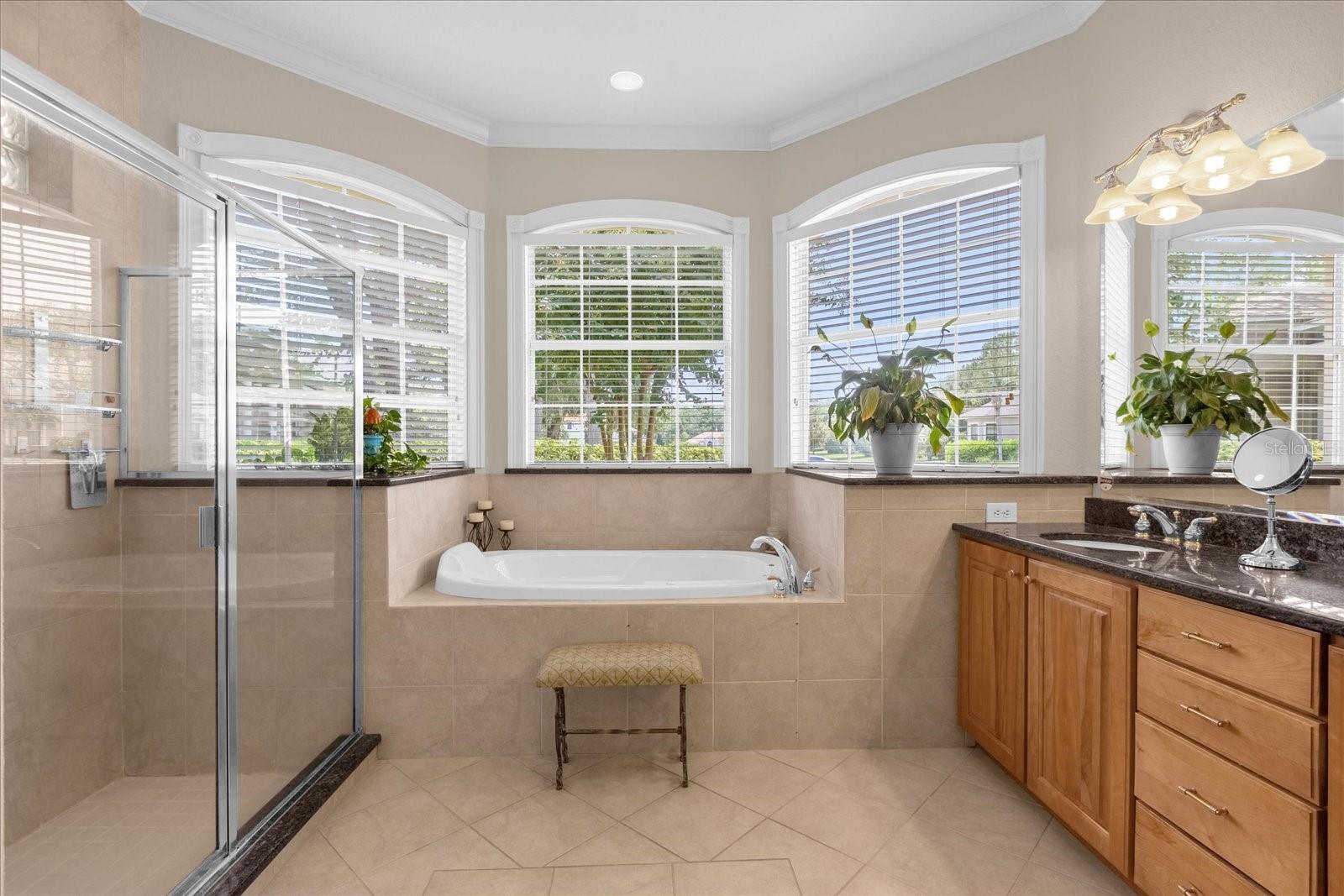 277 OLIVIA ROSE CT, LAKE MARY, FL, 32746