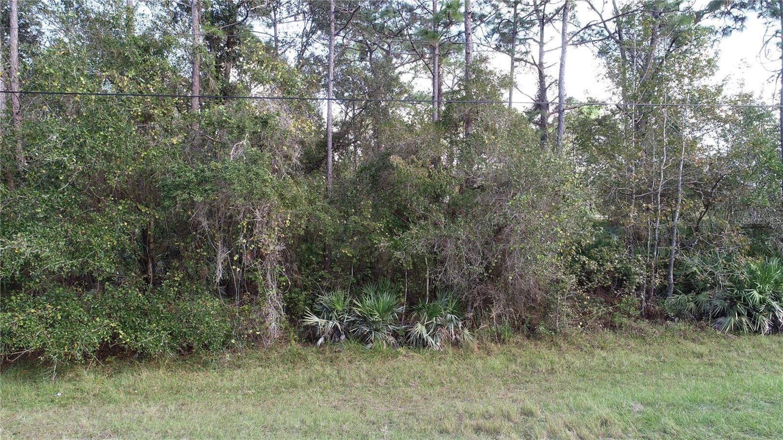 5913 EDGERTON AVE, ORLANDO, FL, 32833
