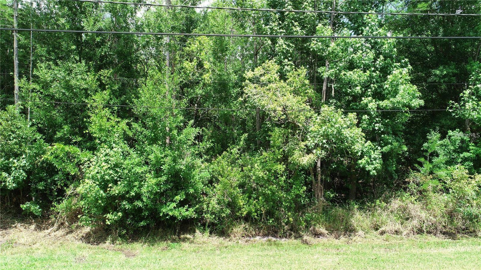 5913 EDGERTON AVE, ORLANDO, FL, 32833