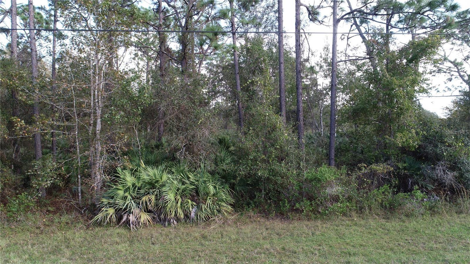 5913 EDGERTON AVE, ORLANDO, FL, 32833