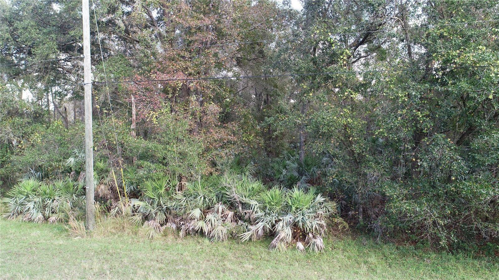 5913 EDGERTON AVE, ORLANDO, FL, 32833