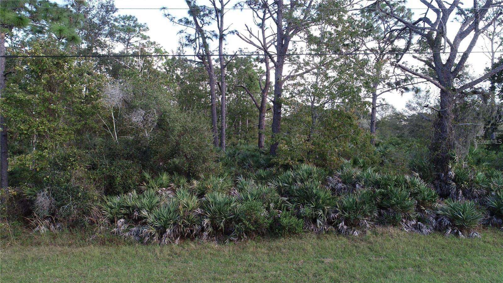 5913 EDGERTON AVE, ORLANDO, FL, 32833