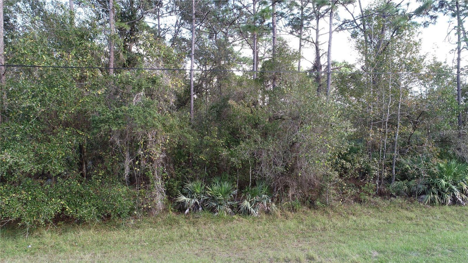 5913 EDGERTON AVE, ORLANDO, FL, 32833