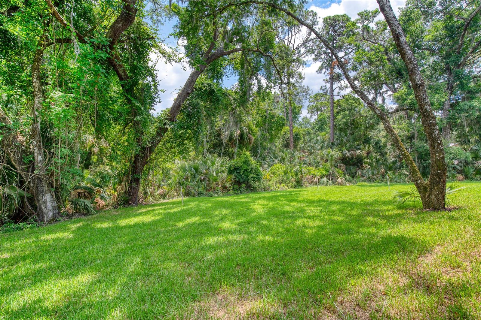 260 SPREADING OAK LN, ORMOND BEACH, FL, 32174