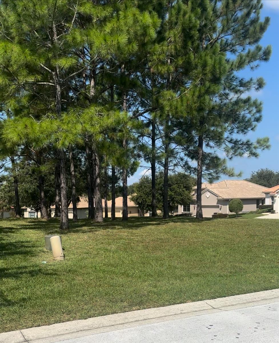 994 W SILVER MEADOW LOOP, HERNANDO, FL, 34442