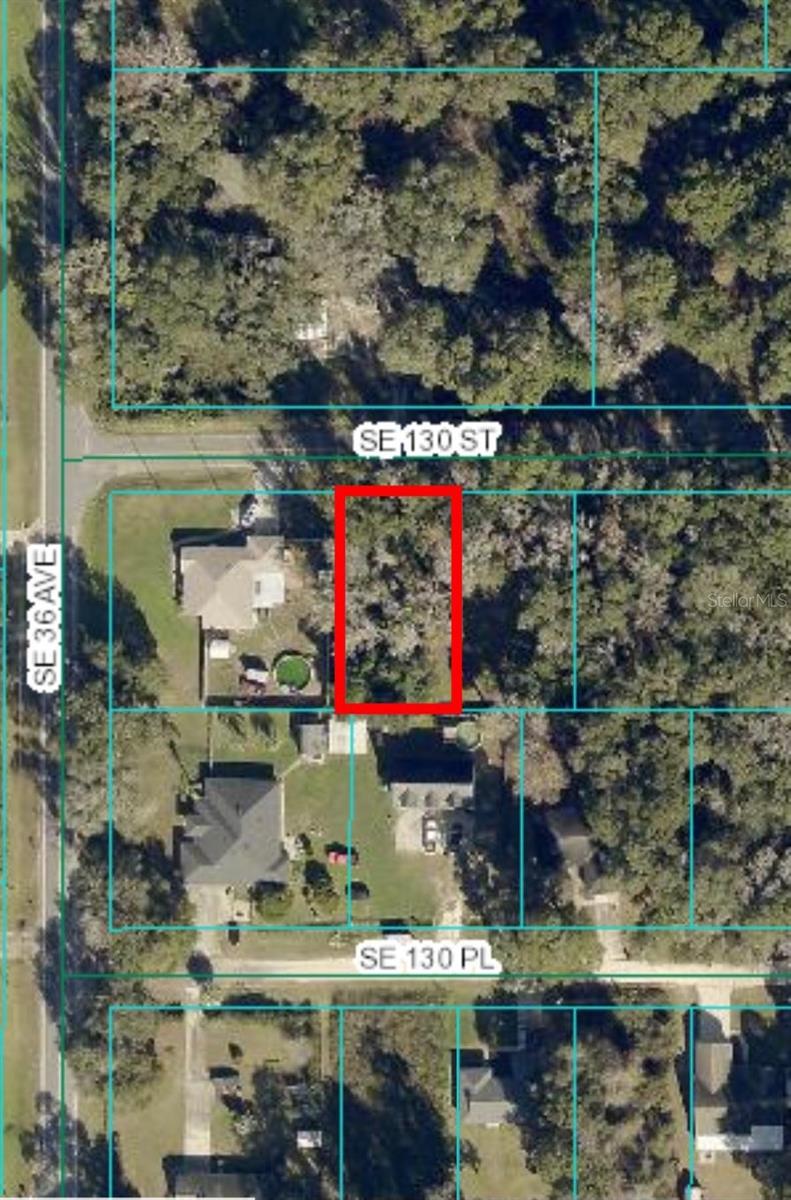 00 130TH STREET, SUMMERFIELD, FL, 34491