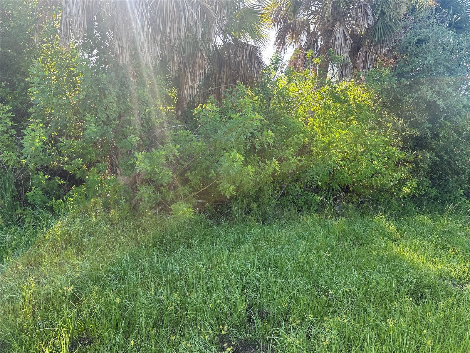 7106 KALER ST, PORT CHARLOTTE, FL, 33981