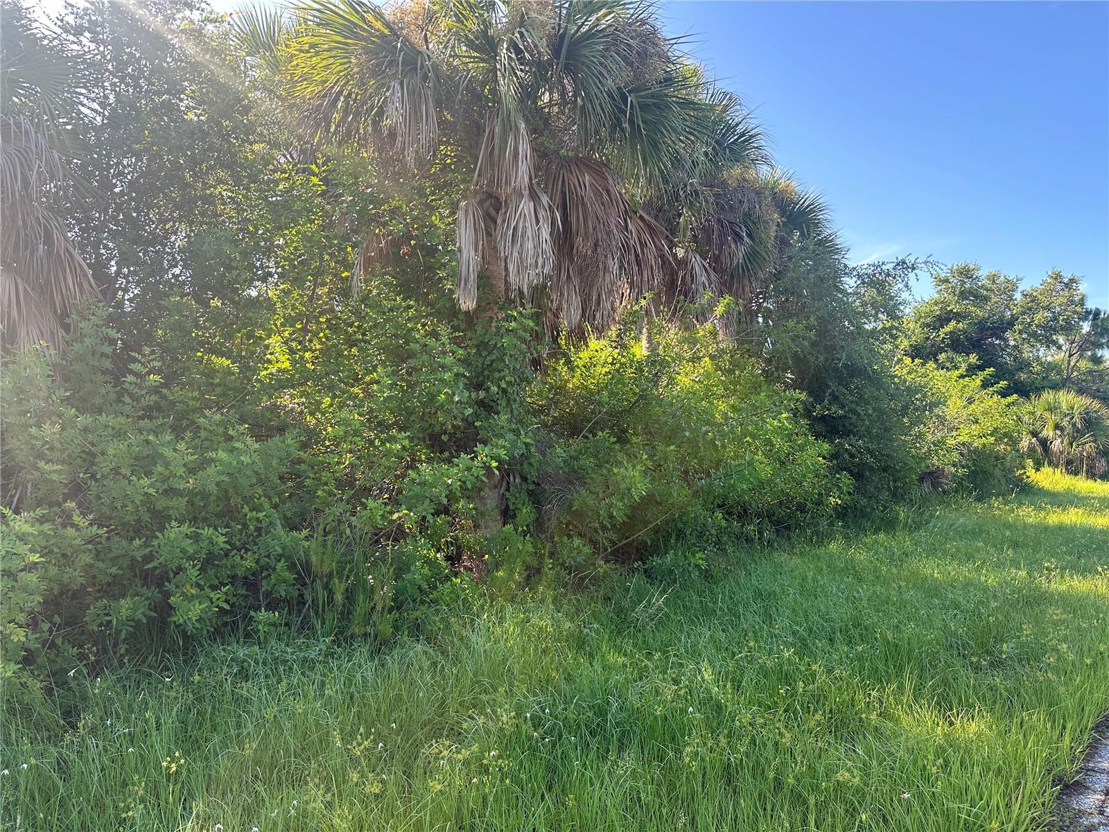 7106 KALER ST, PORT CHARLOTTE, FL, 33981