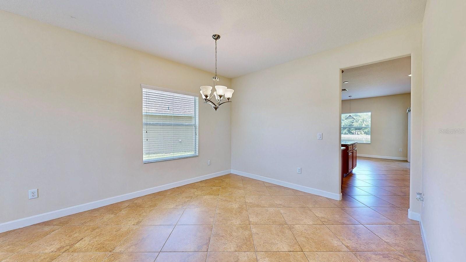 11601 MANSFIELD POINT DR, RIVERVIEW, FL, 33569