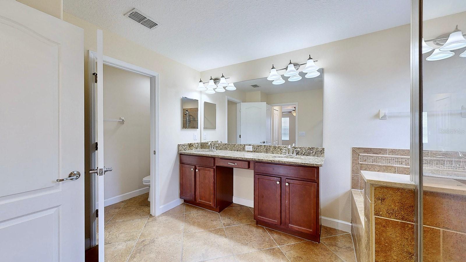 11601 MANSFIELD POINT DR, RIVERVIEW, FL, 33569