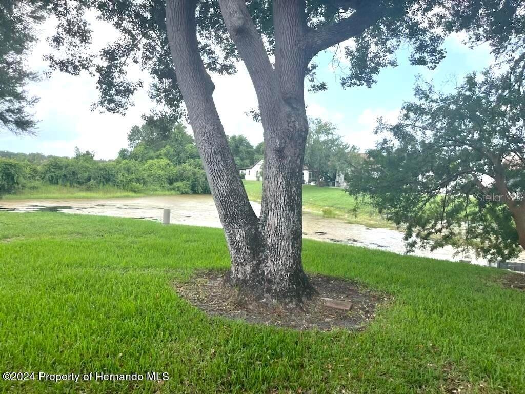 7278 SCOTLAND CIR, WEEKI WACHEE, FL, 34613