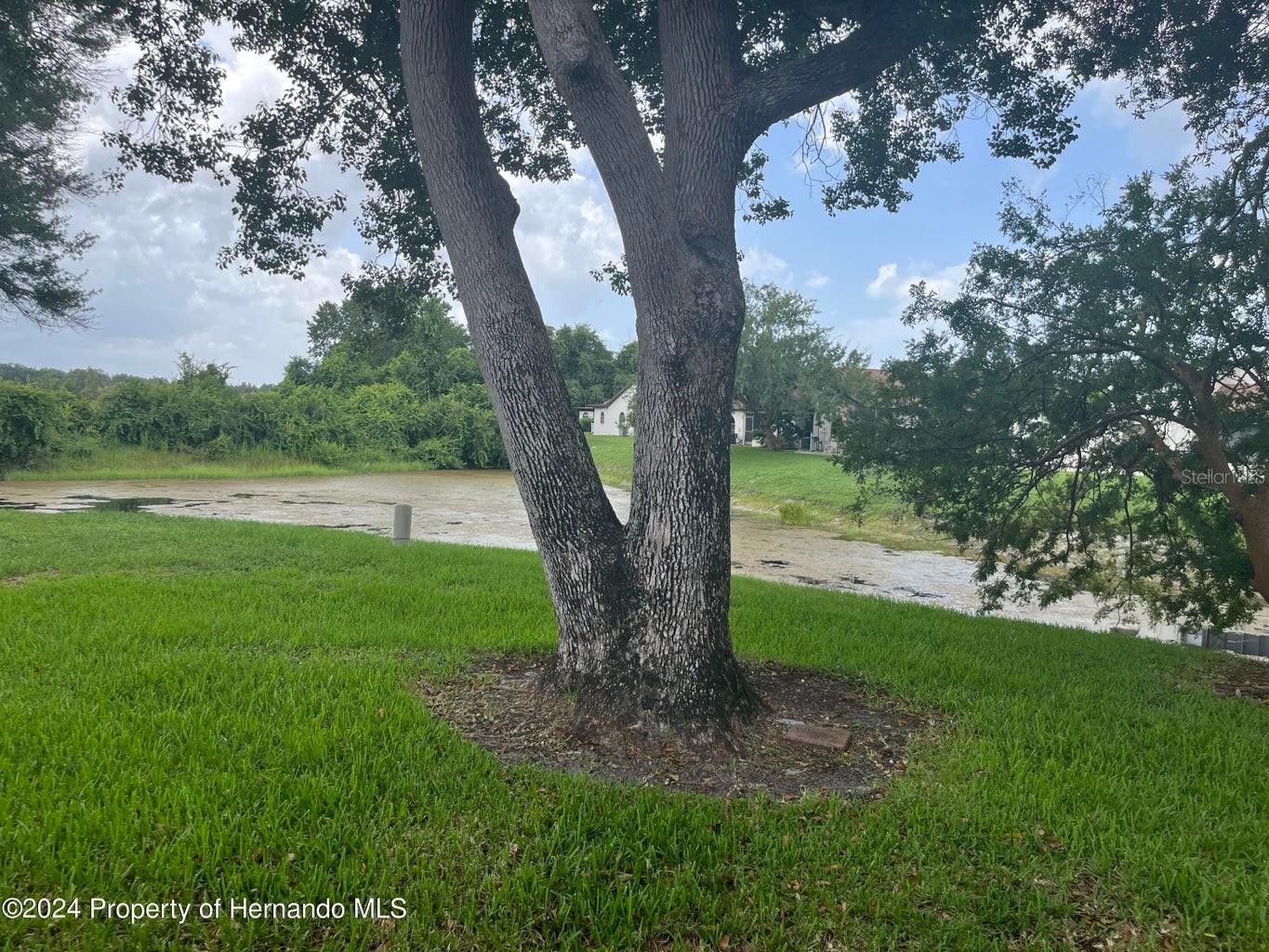 7278 SCOTLAND CIR, WEEKI WACHEE, FL, 34613