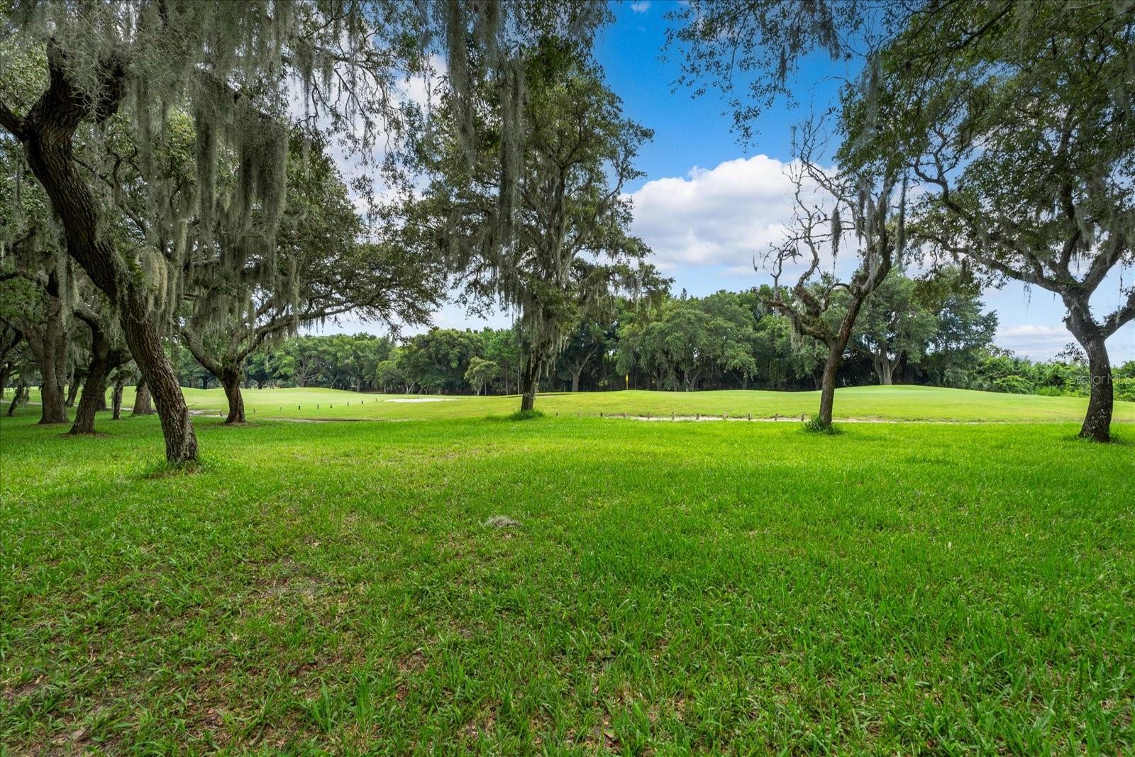 1117 ATHLONE WAY, ORMOND BEACH, FL, 32174